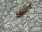 Ярослав Пліщук фотография #36 (источник - https://vk.com/id69860022)