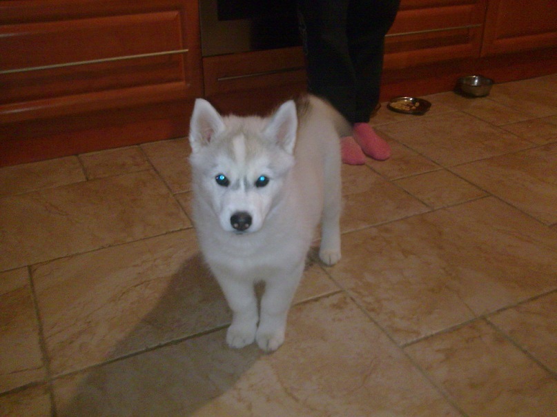 Дмитрий Мямин фотография #36