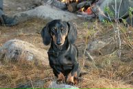 Фотография Лавровой Александры