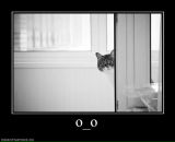 Фотография Андреевой Полины