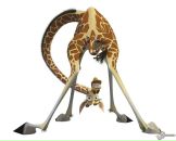 Іра Костюк фотография #40 (источник - https://vk.com/id154330109)