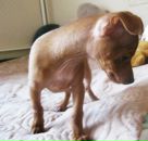 Фотография Масякиной Алёны