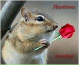 Сергій Стецюк фотография #50 (источник - https://vk.com/id163154144)