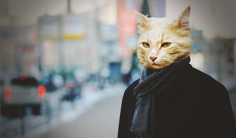 Сергей М фотография #20