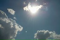 Фотография Шумаевой Виктории