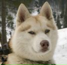 Дима Пилипчук фотография #17 (источник - https://vk.com/id20813129)