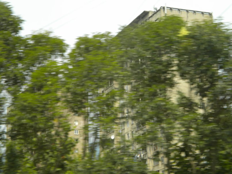 Александр Плотников фотография #17
