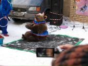 Антон Сергееев фотография #16 (источник - https://vk.com/id220280)