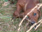 Фотография Макаровой Ксении