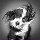 Junni :) фотография #17 (источник - https://vk.com/id141296253)