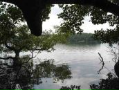 Анна Шнайдер фотография #1