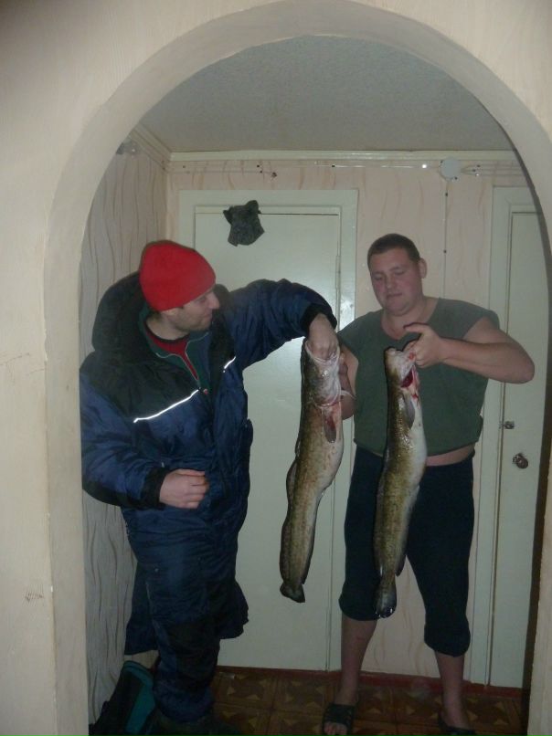 Юрий Софийцев фотография #49