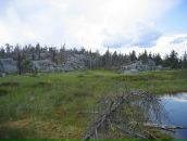 Иван Паньков фотография #17 (источник - https://vk.com/id746503)