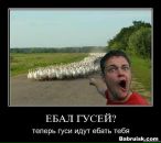 Женя Васін фотография #36 (источник - https://vk.com/id28709256)