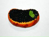 Сашка Блашка фотография #22 (источник - https://vk.com/id579771)