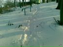 Діма Чупрей фотография #14 (источник - https://vk.com/id25583532)