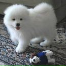 Фотография Галич Алены