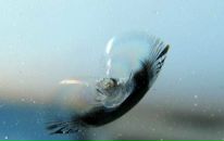 Юрій Каплій фотография #32 (источник - https://vk.com/id81231977)