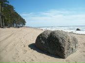 Фотография Землякова Антона