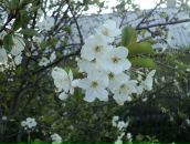 Фотография Лукьянов Алексей