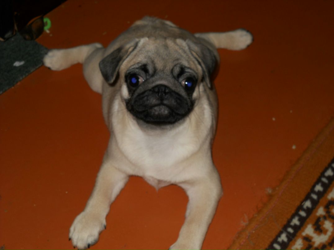 Наталья Логоденко фотография #6