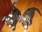 Фотография Крикуновой Лилии