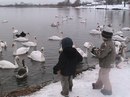Андрій Мудрик фотография #25 (источник - https://vk.com/id110426849)