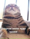 Ігор Солоненко фотография #19 (источник - https://vk.com/id70713472)