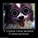 Творці Щастя фотография #21 (источник - https://vk.com/id95492615)