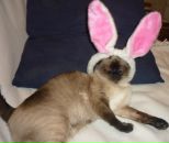 Фотография Давыдовой Анюты