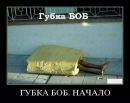 Вероника Черноиваненко фотография #6 (источник - https://vk.com/id222266485)