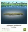 Сергій Чернець фотография #49 (источник - https://vk.com/id55270381)