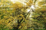 Стас Губіш фотография #29 (источник - https://vk.com/id19836301)