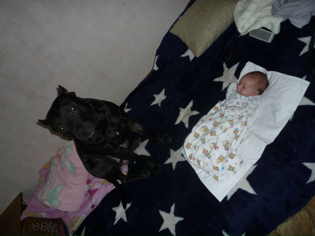 Данил Плотников фотография #5