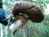 Игорь Kochenoff фотография #18 (источник - https://vk.com/id550900)