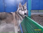 Евгения Дарий фотография #10 (источник - https://vk.com/id2201000)