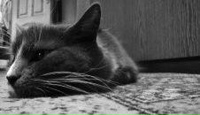 Ірішка Ткачик фотография #24 (источник - https://vk.com/id7792152)