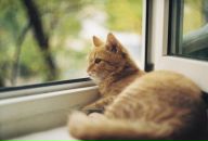 Дмитрий Любиченко фотография #41 (источник - https://vk.com/id80099263)