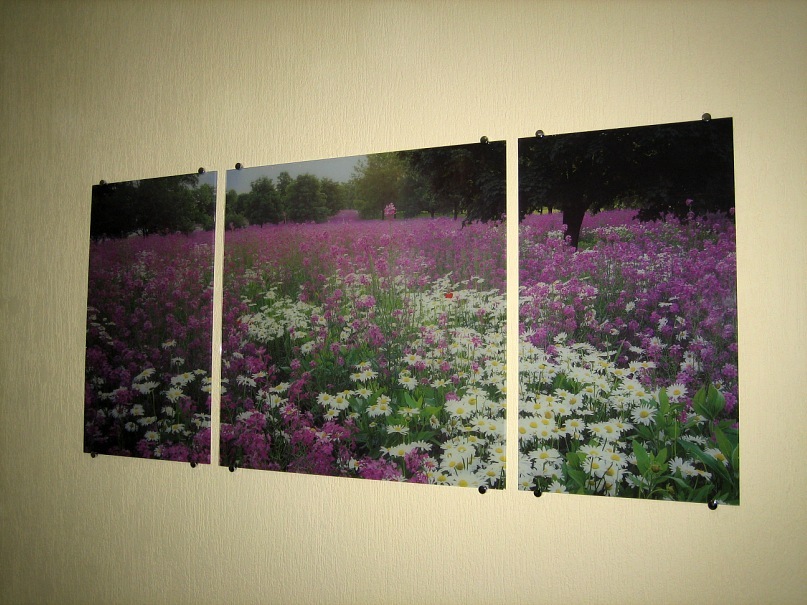 Александр Сивировский фотография #14