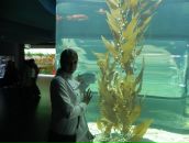 Oksana Akyol фотография #32 (источник - https://vk.com/id261672)