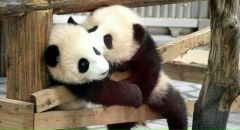 Анна Дега фотография #10 (источник - https://vk.com/id1395394)