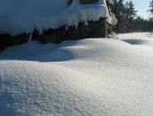 Иван Никулин фотография #46 (источник - https://vk.com/id755602)