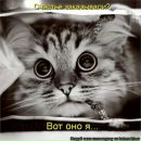 Фотография Полковникова Романа