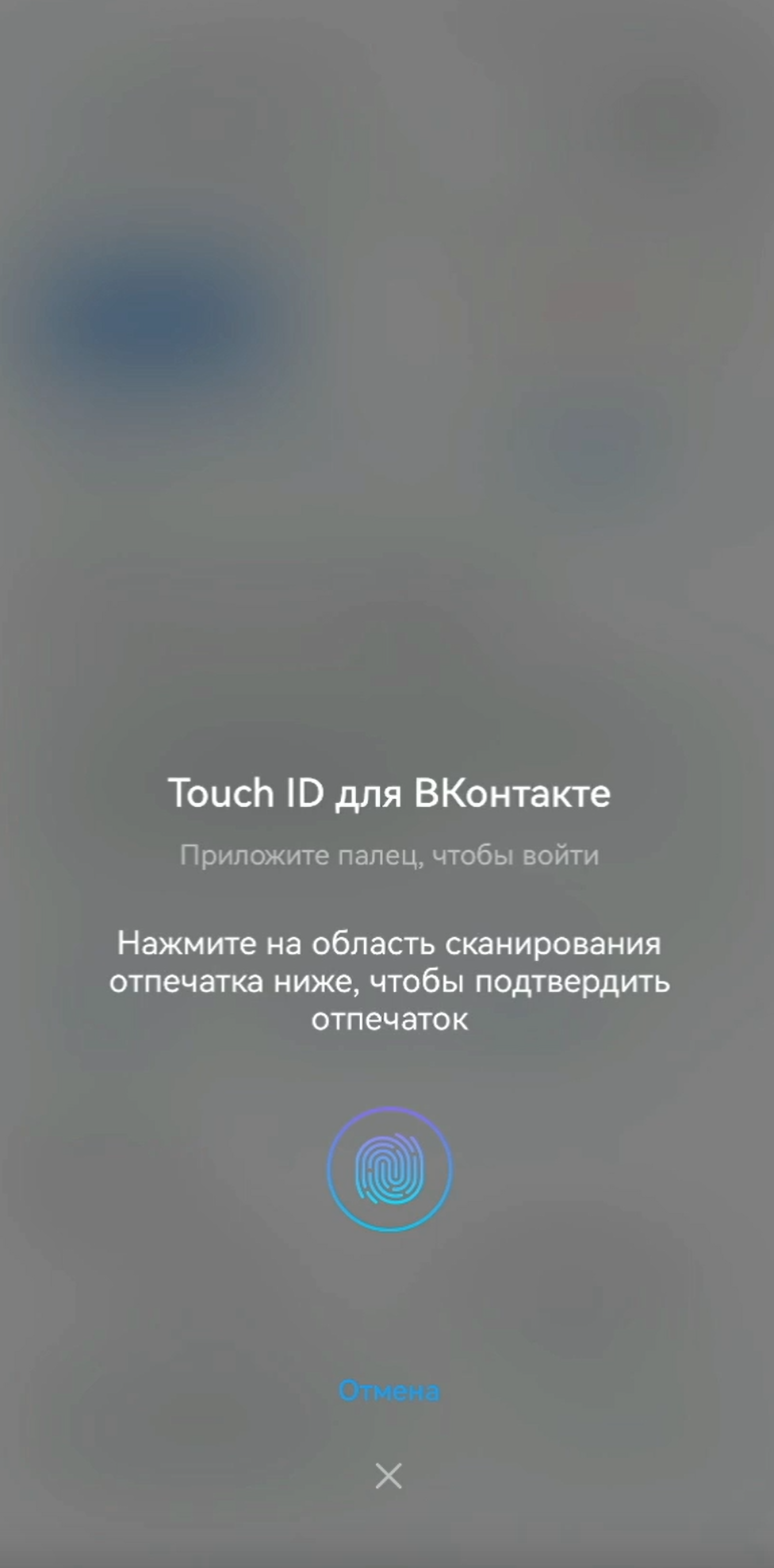 Окно проверки биометрии